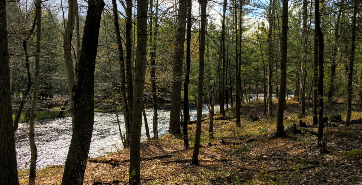 5 acre Riverfront Lot Bordering State Land Harrisville NY NY Outdoor