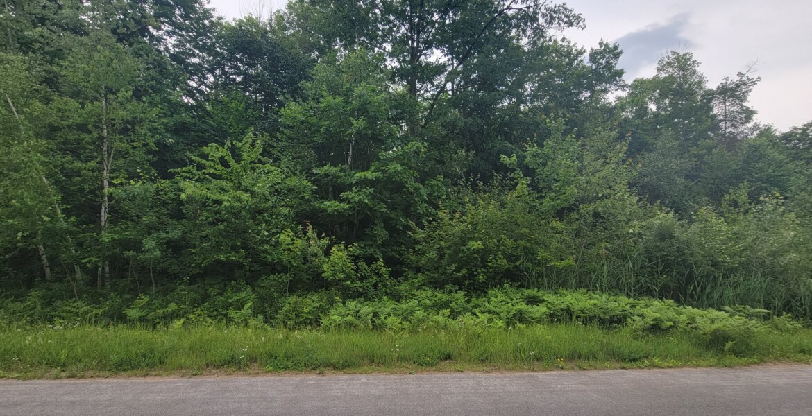 5.15 acre Building Site on 4 Season Road Albion NY NY Outdoor Realty