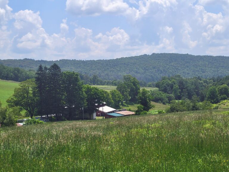 35 acres Land for Sale with Blue Stone Mine, Unadilla, NY!