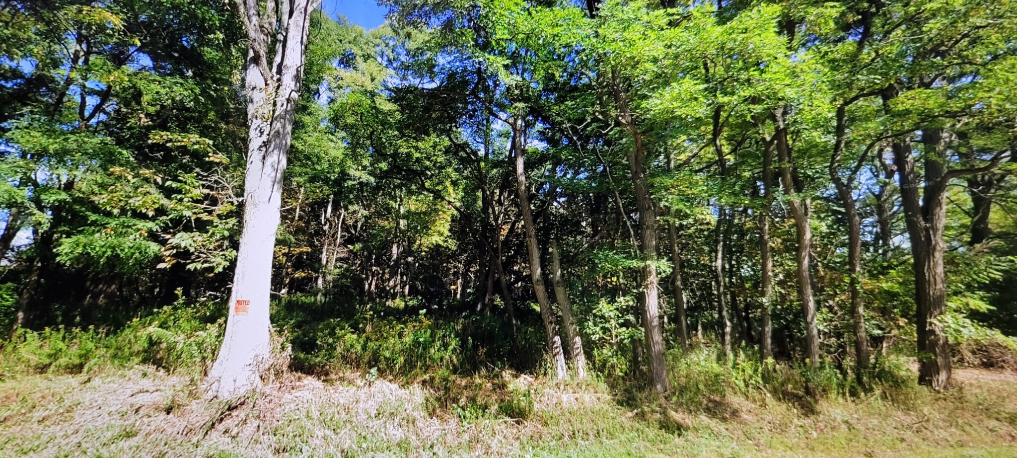 9.5 acre Land for Sale with Power Richland NY NY Outdoor Realty