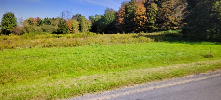 4.5 acre Land for Sale, Richland, NY!