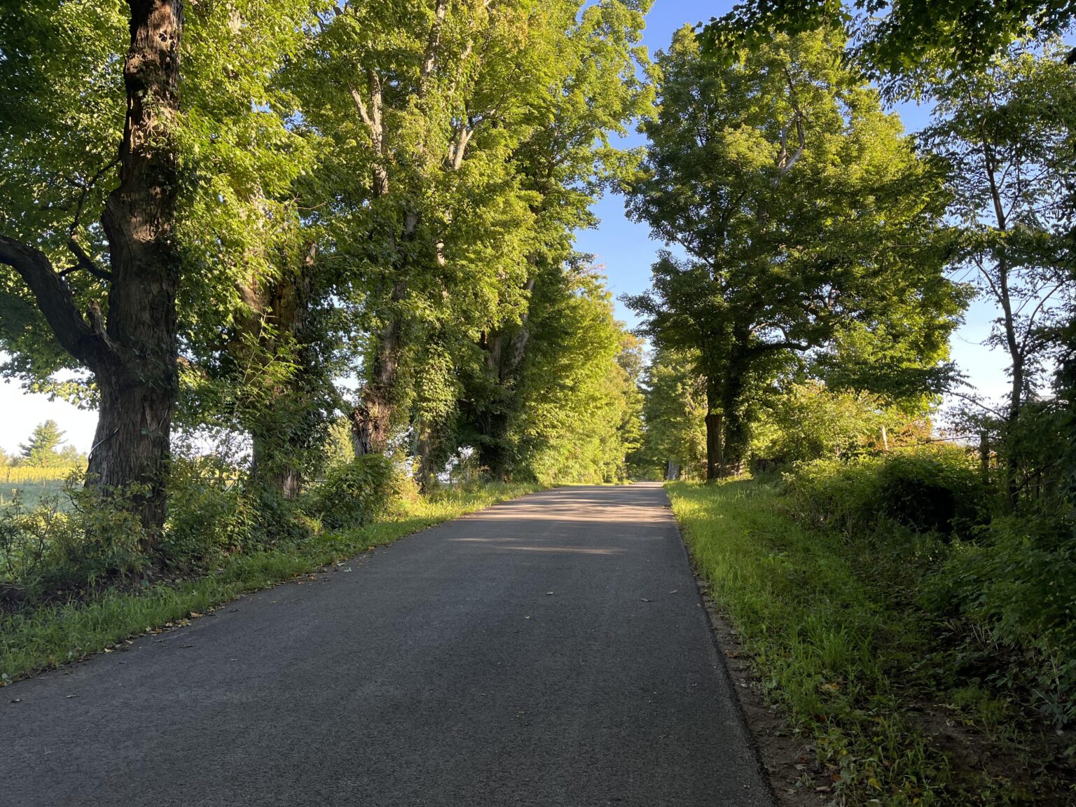 7 acres Rural Land with Power in Russell NY NY Outdoor Realty