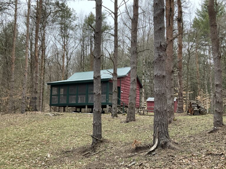 72 acre Hunting Land with Off Grid Cabin Amboy NY