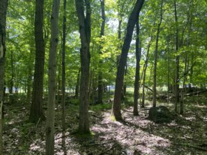 1 acre Village Building Lot Lyons Falls, NY