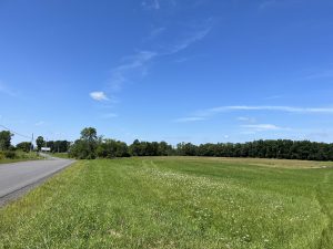 6 acre Building Lot for Sale, Town of Potsdam NY!