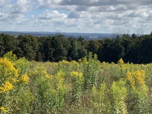 11 acres Southern Tier Land with Views Richford NY