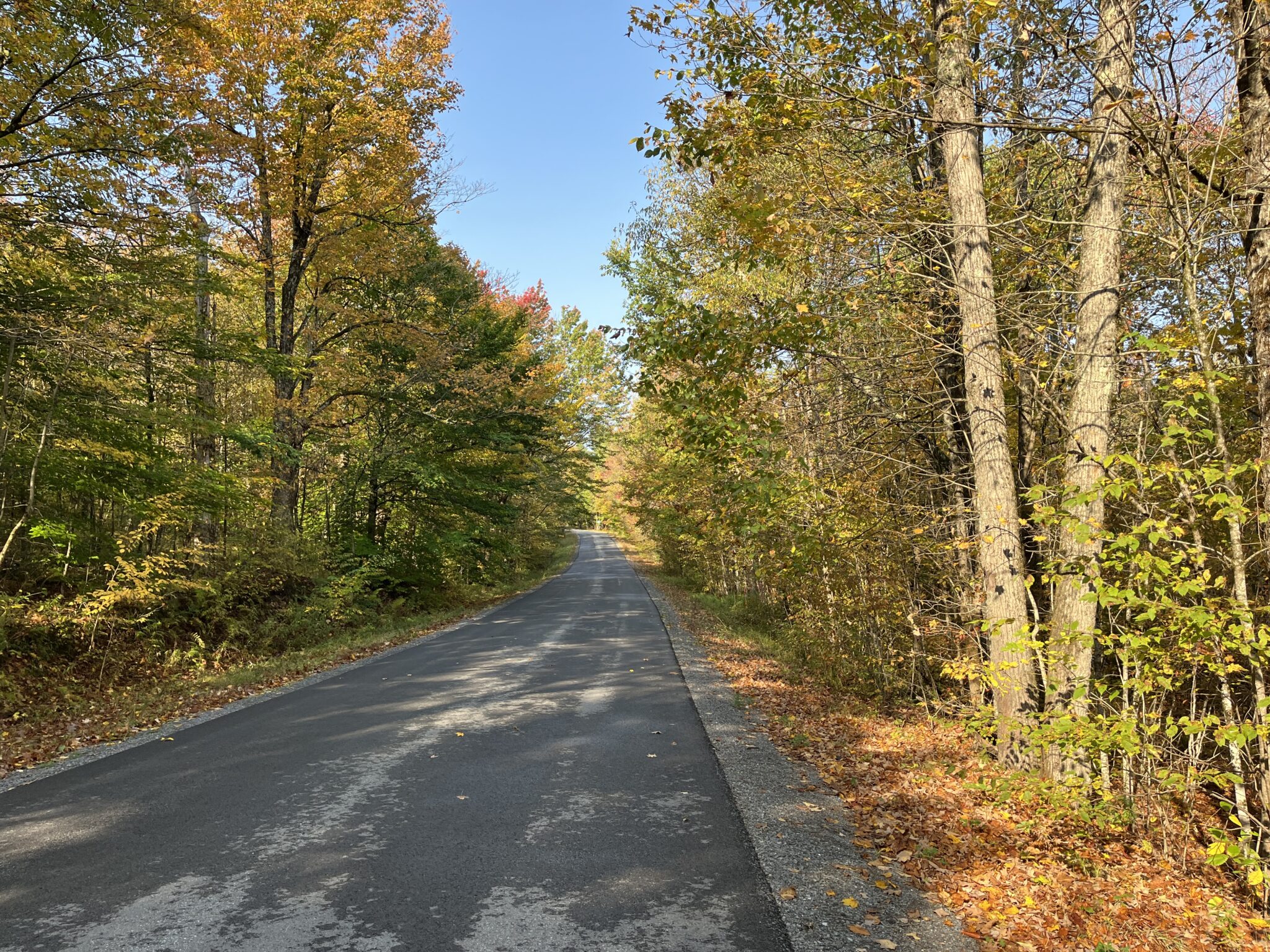 4.4 Recreation Land Near Payne Lake Antwerp NY NY Outdoor Realty