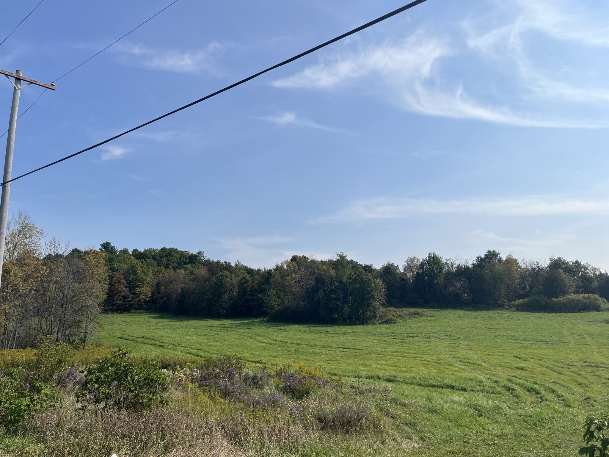 4.4 Recreation Land Near Payne Lake Antwerp NY NY Outdoor Realty