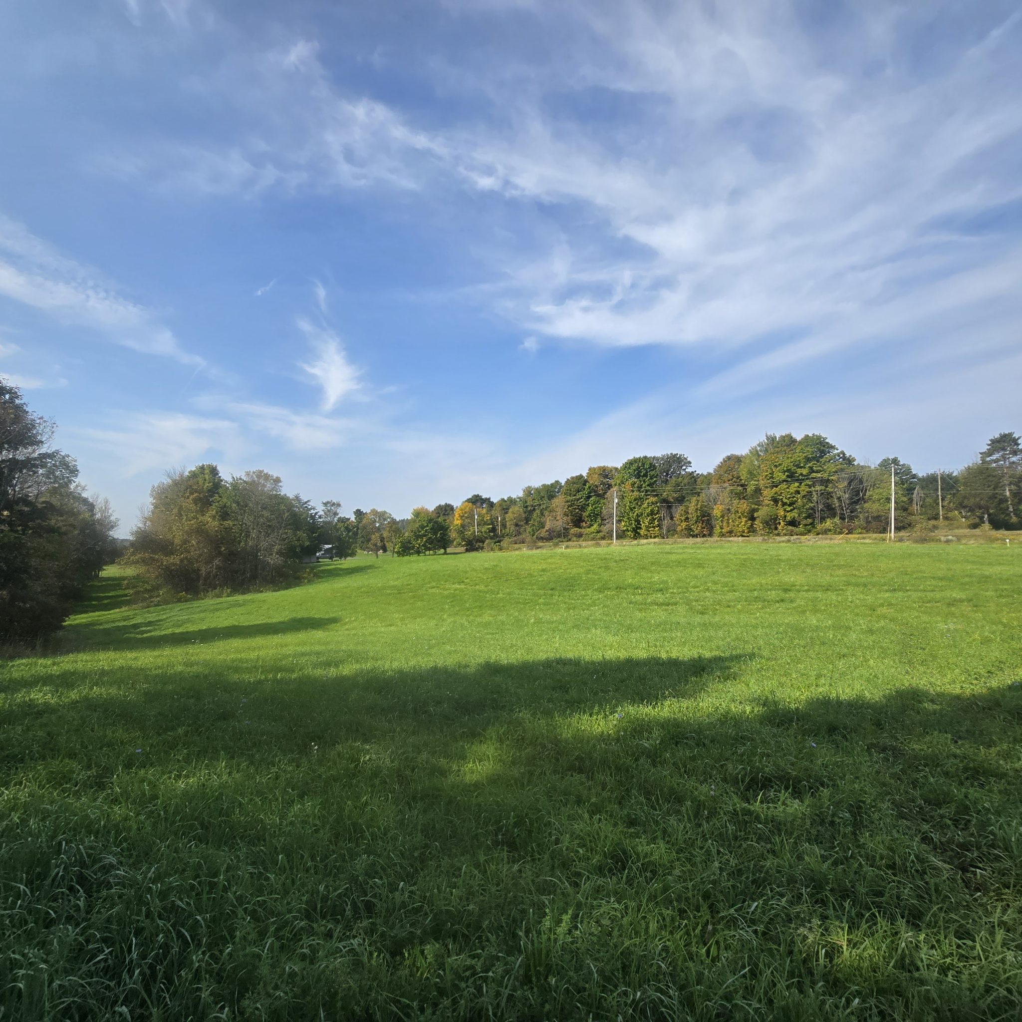 3.5 acres Land Near Payne Lake Antwerp NY NY Outdoor Realty