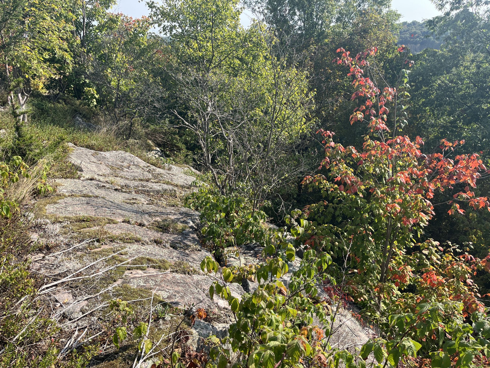 5.7 acres Wooded Recreational Land Antwerp NY NY Outdoor Realty