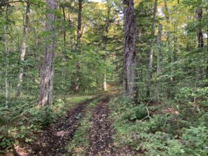 42 acres Bordering Adirondack Wilderness Stratford NY