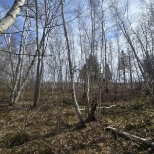 4 acre Building Lot Power Available Orleans NY