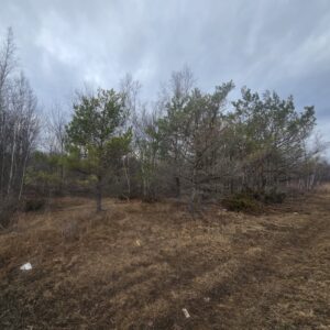 10.5 acre Building Lot Power Available Orleans NY