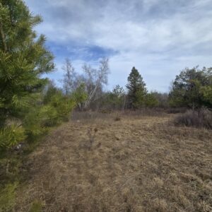 6 acre Building Lot Power Available Orleans NY