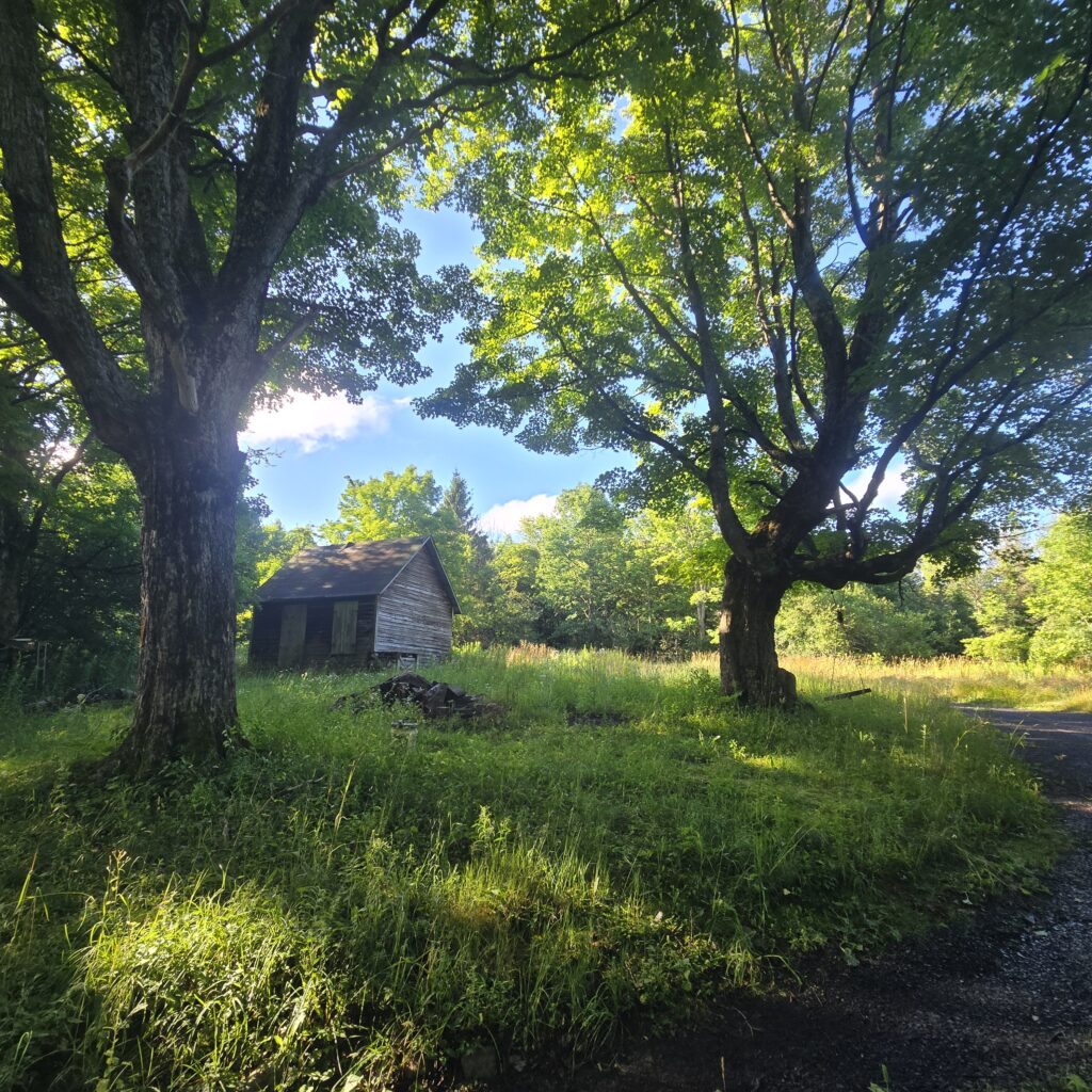 110 acres Remote Tug Hill Hunting Land Rutland NY