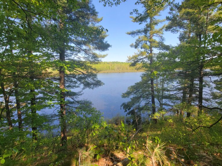 31 acre Remote Forest Land on Osborne Lake, DeKalb, NY!