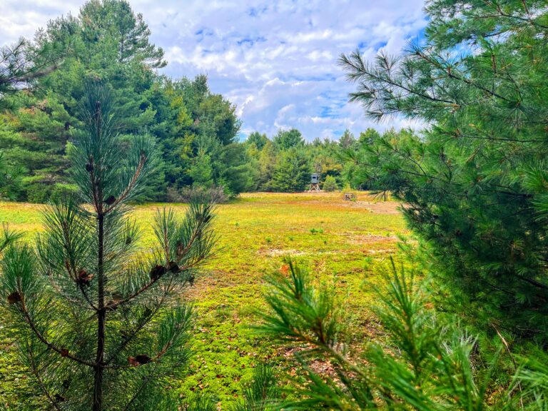 28 acre Creek Front Hunting Land Pitcairn NY
