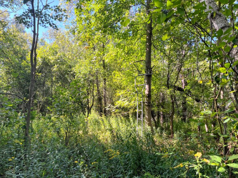 9 acres Hunting Land with Easy Access Stockholm NY