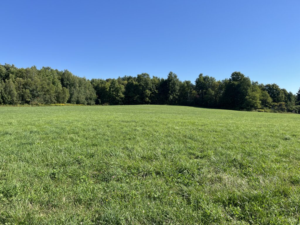 407 acres Hunting Land Power Available Antwerp NY