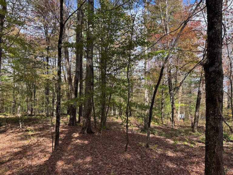 4 acre NY Southern Tier Hunting Land Preston NY