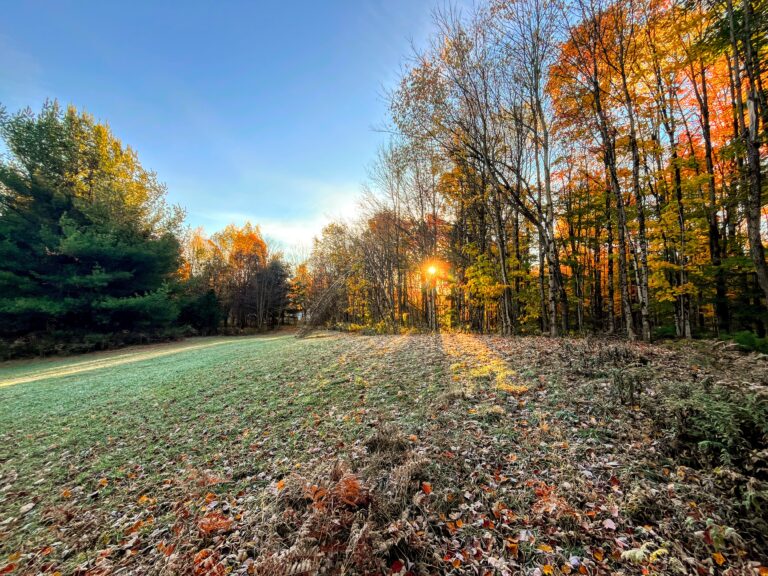 5 acre 4 Season Access Creekfront Lot Pitcairn NY