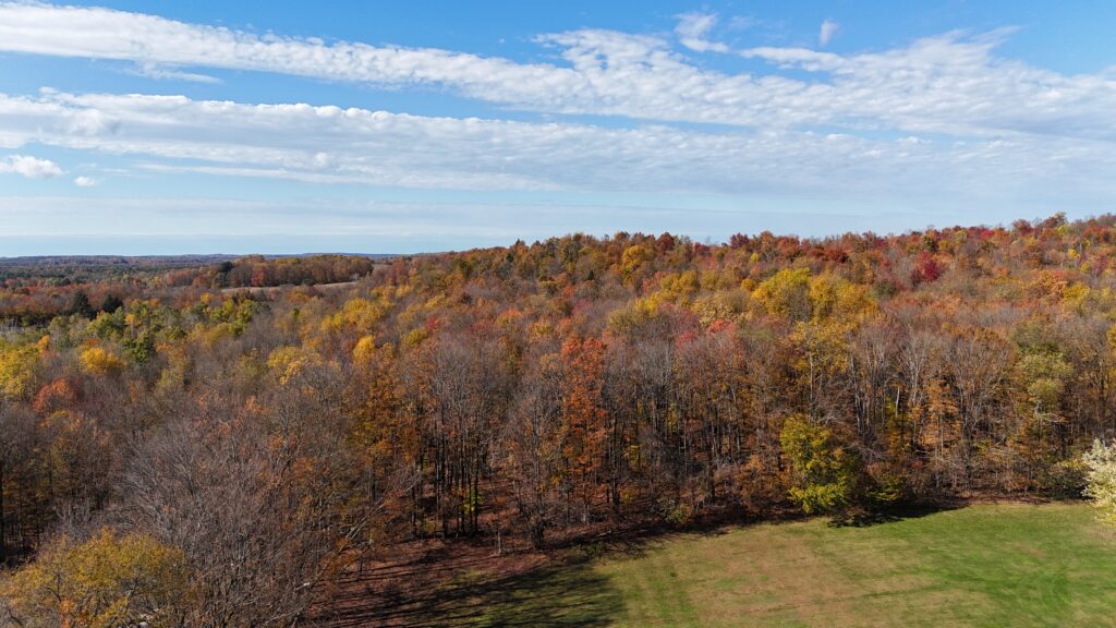 14 acre Building Lot with Power Available Lee NY