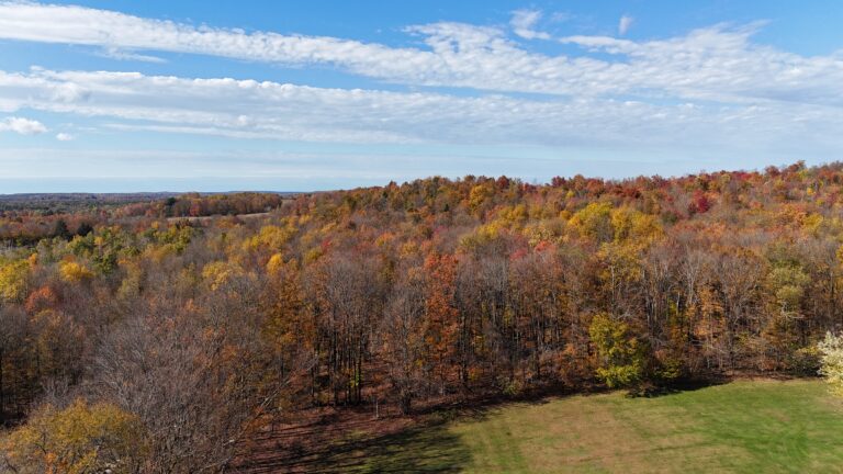 14 acre Building Lot with Power Available Lee NY