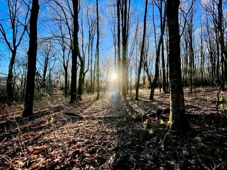 115 acres Hunting and Recreation Land McGraw NY