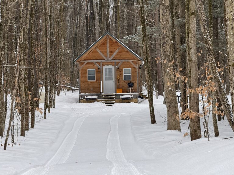 2.5 acres Land with Finished Cabin Williamstown NY