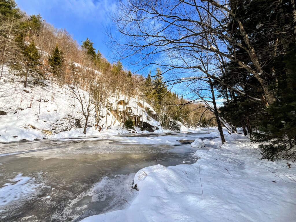 261 acres Adirondack Riverfront Land Fine NY