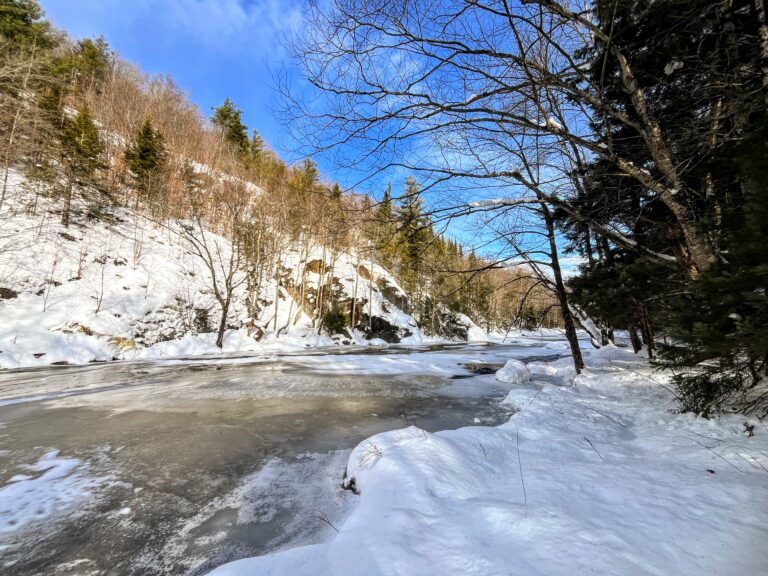 261 acres Adirondack Riverfront Land Fine NY