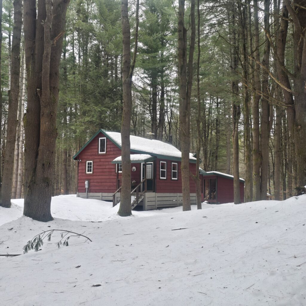 7 acres of Land with Finished Cabin Constantia NY