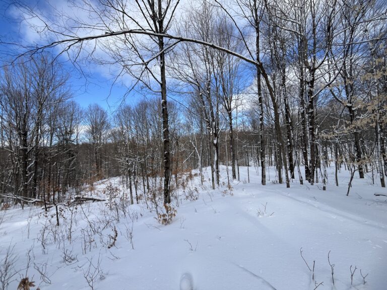 5 acre Off Grid Land Near State Land Russell NY